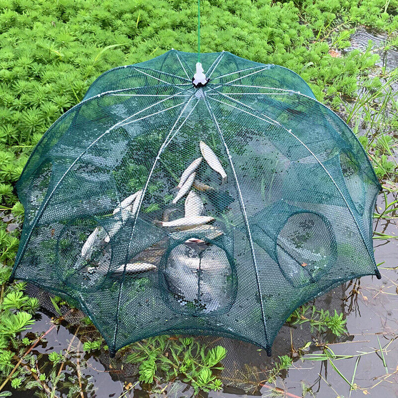 8-Hole Fishing Trap The Ultimate Catch-All for Fishing Enthusiasts | Brodtica.com - Brodtica