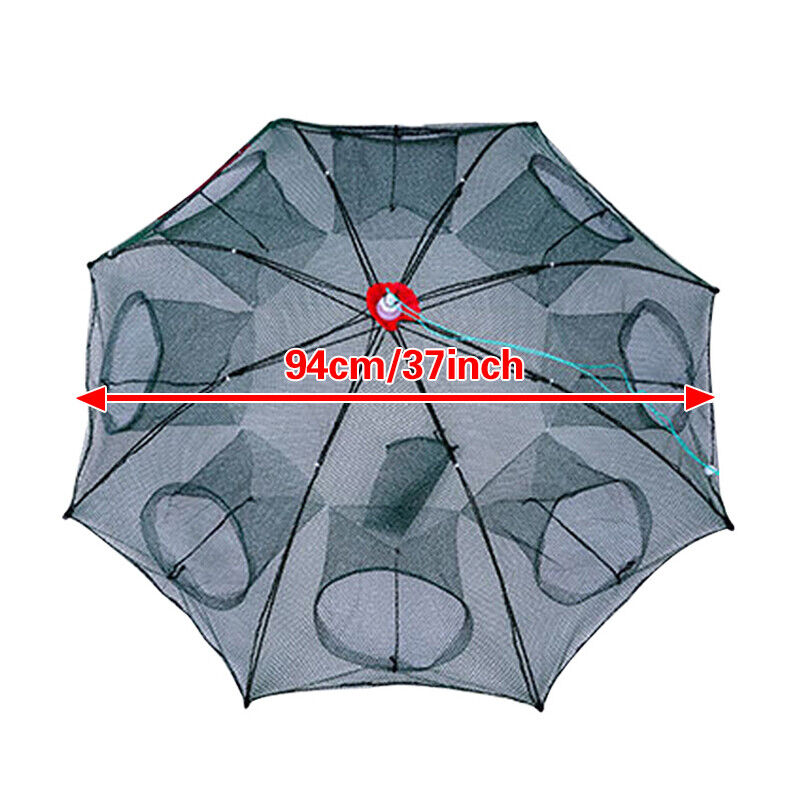 8-Hole Fishing Trap The Ultimate Catch-All for Fishing Enthusiasts | Brodtica.com - Brodtica