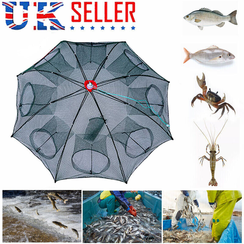 8-Hole Fishing Trap The Ultimate Catch-All for Fishing Enthusiasts | Brodtica.com - Brodtica