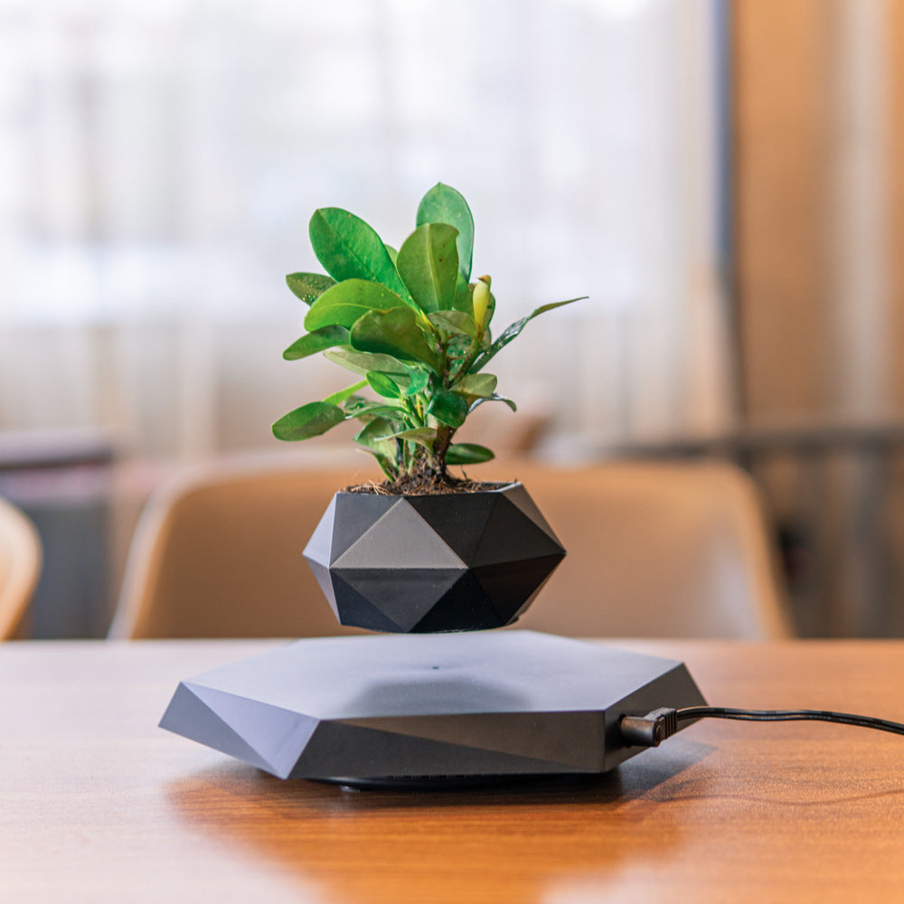 Floating Magnetic Levitating Flower Pot Bonsai Air Plant Pot Planter Potted For Home Office Desk Decor Creative Gift | Brodtica.com - Brodtica Floating Magnetic Levitating Flower Pot Bonsai Air Plant Pot Planter Potted For Home Office Desk Decor Creative Gift | Brodtica.com The Floating Magnetic Levitating Flower Pot operates on the principles of magnetic levitation. It defies gravity through strong magnets that suspend the pot mid-air, making a captivating and surreal visual impact.