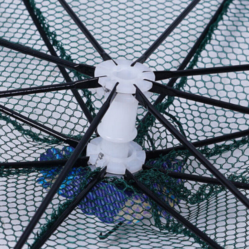 8-Hole Fishing Trap The Ultimate Catch-All for Fishing Enthusiasts | Brodtica.com - Brodtica