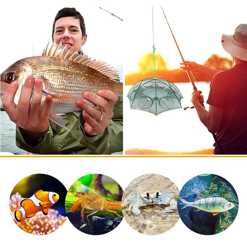 8-Hole Fishing Trap The Ultimate Catch-All for Fishing Enthusiasts | Brodtica.com - Brodtica