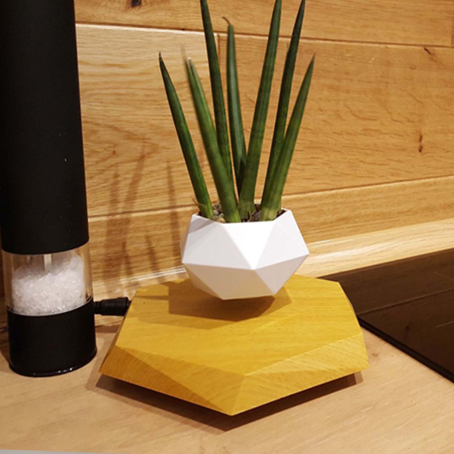 Floating Magnetic Levitating Flower Pot Bonsai Air Plant Pot Planter Potted For Home Office Desk Decor Creative Gift | Brodtica.com - Brodtica Floating Magnetic Levitating Flower Pot Bonsai Air Plant Pot Planter Potted For Home Office Desk Decor Creative Gift | Brodtica.com The Floating Magnetic Levitating Flower Pot operates on the principles of magnetic levitation. It defies gravity through strong magnets that suspend the pot mid-air, making a captivating and surreal visual impact.