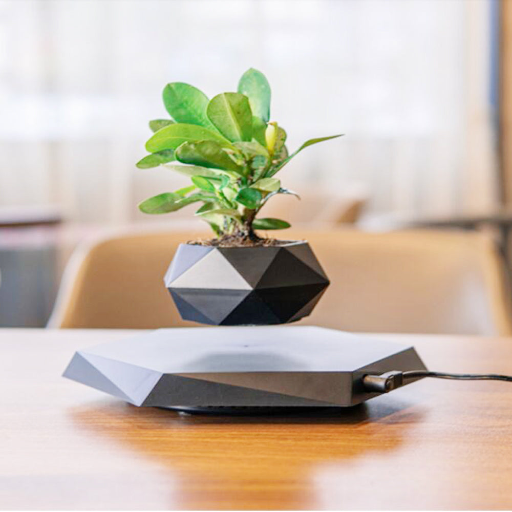 Floating Magnetic Levitating Flower Pot Bonsai Air Plant Pot Planter Potted For Home Office Desk Decor Creative Gift | Brodtica.com - Brodtica Floating Magnetic Levitating Flower Pot Bonsai Air Plant Pot Planter Potted For Home Office Desk Decor Creative Gift | Brodtica.com The Floating Magnetic Levitating Flower Pot operates on the principles of magnetic levitation. It defies gravity through strong magnets that suspend the pot mid-air, making a captivating and surreal visual impact.