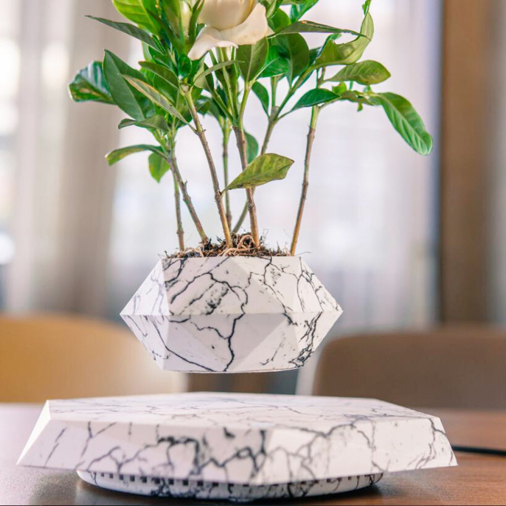 Floating Magnetic Levitating Flower Pot Bonsai Air Plant Pot Planter Potted For Home Office Desk Decor Creative Gift | Brodtica.com - Brodtica Floating Magnetic Levitating Flower Pot Bonsai Air Plant Pot Planter Potted For Home Office Desk Decor Creative Gift | Brodtica.com The Floating Magnetic Levitating Flower Pot operates on the principles of magnetic levitation. It defies gravity through strong magnets that suspend the pot mid-air, making a captivating and surreal visual impact.