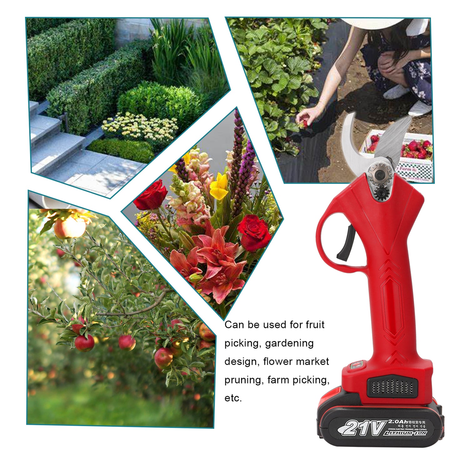 Lithium Electric Pruning Shears For Horticultural Fruit Trees | Brodtica.com - Brodtica