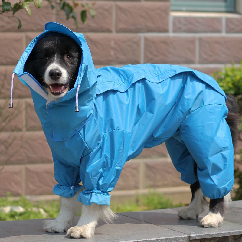 Pet Raincoat: Keep Your Furry Friend Dry | Brodtica.com - Brodtica  Pet Raincoat: Keep Your Furry Friend Dry | Brodtica.com Brodtica.com | USA Shield your furry friend from rain with a pet raincoat, designed to keep them dry during wet weather conditions. material: plastic Rain gear type: raincoat / split raincoat