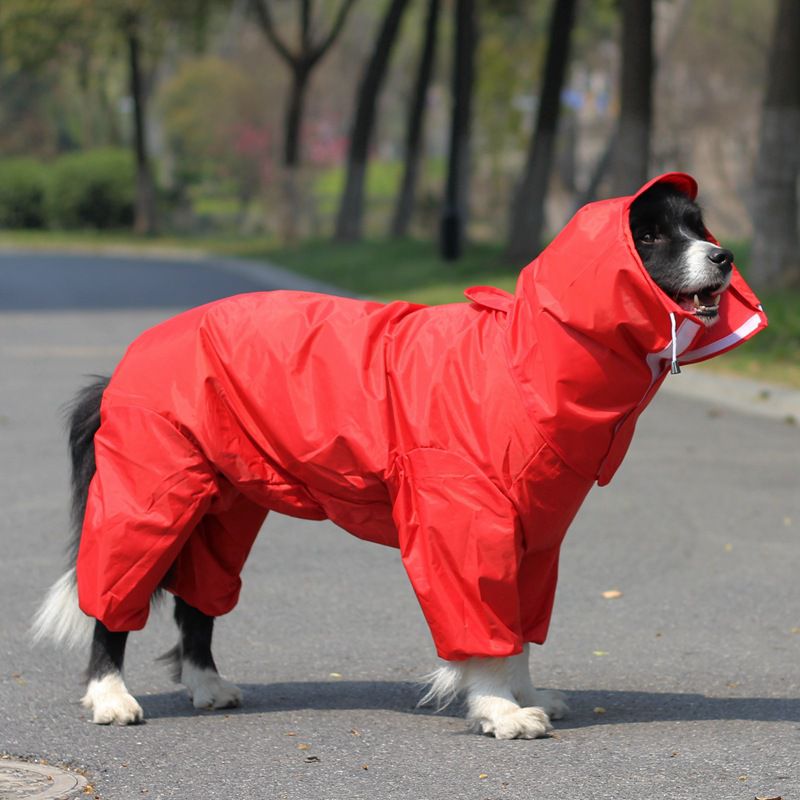 Pet Raincoat: Keep Your Furry Friend Dry | Brodtica.com - Brodtica  Pet Raincoat: Keep Your Furry Friend Dry | Brodtica.com Brodtica.com | USA Shield your furry friend from rain with a pet raincoat, designed to keep them dry during wet weather conditions. material: plastic Rain gear type: raincoat / split raincoat