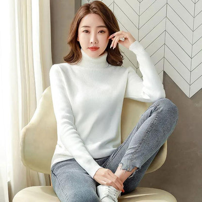 Turtle Neck Winter Sweater Women Elegant Thick Warm Female Knitted Pullover Loose Basic Knitwear | Brodtica.com - Brodtica