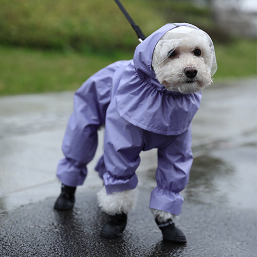 Dog Raincoat Teddy Four-legged Waterproof All-inclusive | Brodtica.com - Brodtica  Dog Raincoat Teddy Four-legged Waterproof All-inclusive | Brodtica.com With regards to keeping your shaggy companion dry and open to during wet climate, a top notch dog raincoat is a flat out must. In this complete aide, we'll dive into the universe of dog raincoats, assisting you with picking the ideal one to keep your canine buddy comfortable and dry.
