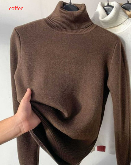 Turtle Neck Winter Sweater Women Elegant Thick Warm Female Knitted Pullover Loose Basic Knitwear | Brodtica.com - Brodtica